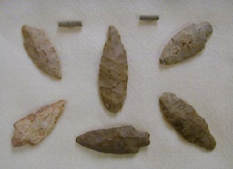 Washoe Indian Encampment Unearthed