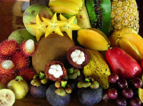 Picking Your Own Tropical Fruit