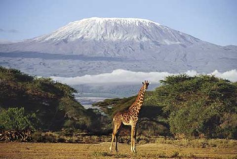 Snowless (almost) Kilimanjaro