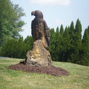 Bald eagle sculpture carved in 10 hours from stump of sugar maple tree.