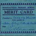 Primary School Merit Certificate