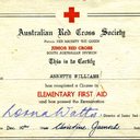 Annette's First Aid Certificate