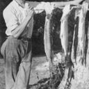Glen Kuhl, Wisconsin 1910 with three fish. He loved to fish his entire life, deep sea fishing when he moved to Florida.