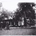 History - Pix of Sunway Plantation ca  1958 2