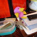 Paxil the Platypus kept watch over Jean's consultation sign-up sheet