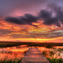 Sunset in Everglades