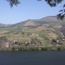 We took a boat tour down the Douro Valley where the grapes are grown for the famous Porto wines.  Rows are cut into the sides of the mountains for the grape vines.  All grapes are hand-picked.  None of our group drinks wine so we didn't do any tours of the wineries.